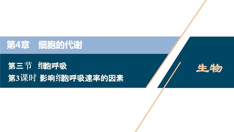 高中生物新北师大版必修1  影响细胞呼吸速率的因素 课件（77张)第1页