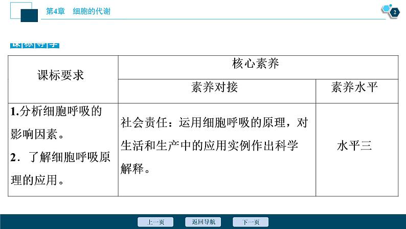 高中生物新北师大版必修1  影响细胞呼吸速率的因素 课件（77张)第3页