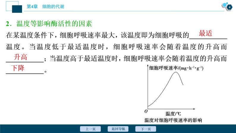 高中生物新北师大版必修1  影响细胞呼吸速率的因素 课件（77张)05