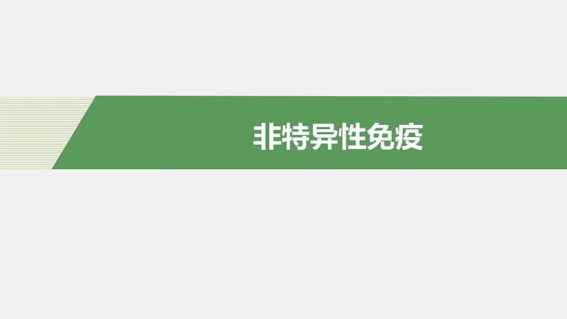 选择性必修1 非特异性免疫（18张） 课件-高中生物新北师大版选择性必修104