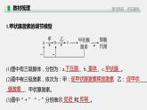 选择性必修1 激素分泌的分级调节与反馈调节（25张） 课件-高中生物新北师大版选择性必修1