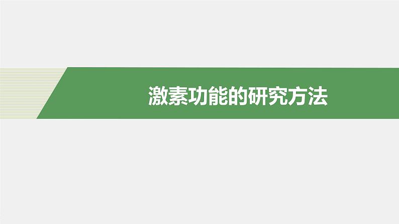 选择性必修1 激素功能的研究方法（22张） 课件-高中生物新北师大版选择性必修104