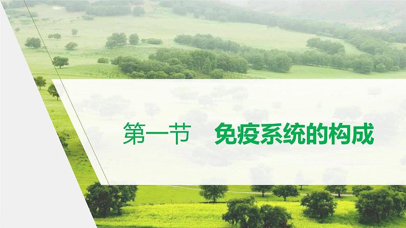 选择性必修1 免疫系统的构成（18张） 课件-高中生物新北师大版选择性必修1第1页