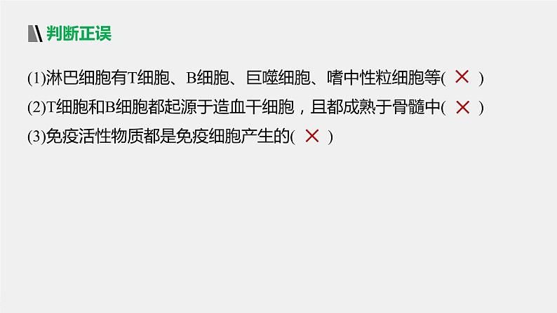 选择性必修1 免疫系统的构成（18张） 课件-高中生物新北师大版选择性必修1第8页