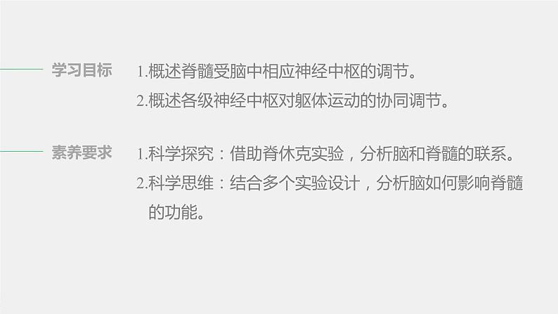 选择性必修1 脑和脊髓对反射活动的协同调节 （29张） 课件-高中生物新北师大版选择性必修102