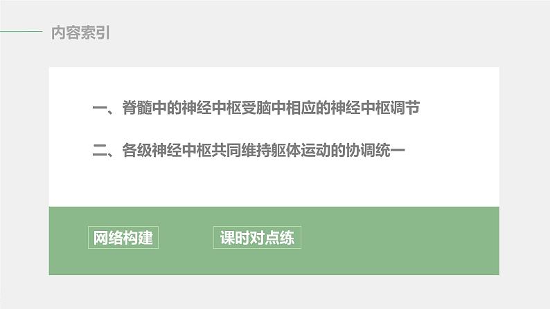 选择性必修1 脑和脊髓对反射活动的协同调节 （29张） 课件-高中生物新北师大版选择性必修103
