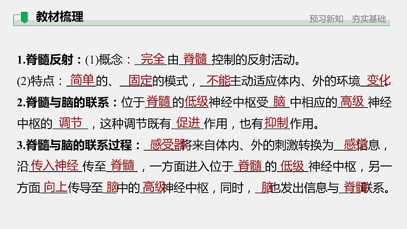 选择性必修1 脑和脊髓对反射活动的协同调节 （29张） 课件-高中生物新北师大版选择性必修105