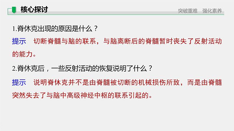 选择性必修1 脑和脊髓对反射活动的协同调节 （29张） 课件-高中生物新北师大版选择性必修108