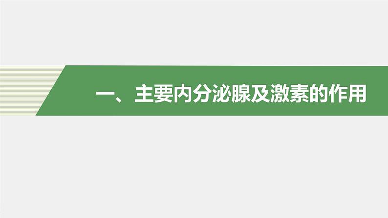 选择性必修1 内分泌系统与激素（36张） 课件-高中生物新北师大版选择性必修104