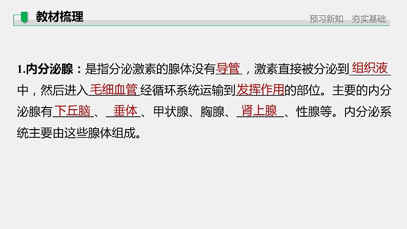 选择性必修1 内分泌系统与激素（36张） 课件-高中生物新北师大版选择性必修105