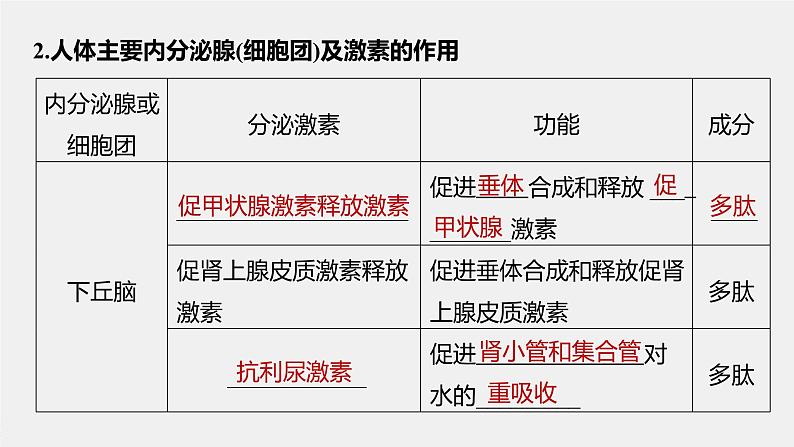 选择性必修1 内分泌系统与激素（36张） 课件-高中生物新北师大版选择性必修106