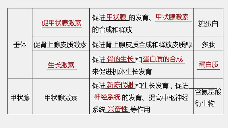 选择性必修1 内分泌系统与激素（36张） 课件-高中生物新北师大版选择性必修107