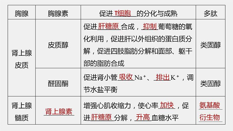 选择性必修1 内分泌系统与激素（36张） 课件-高中生物新北师大版选择性必修108