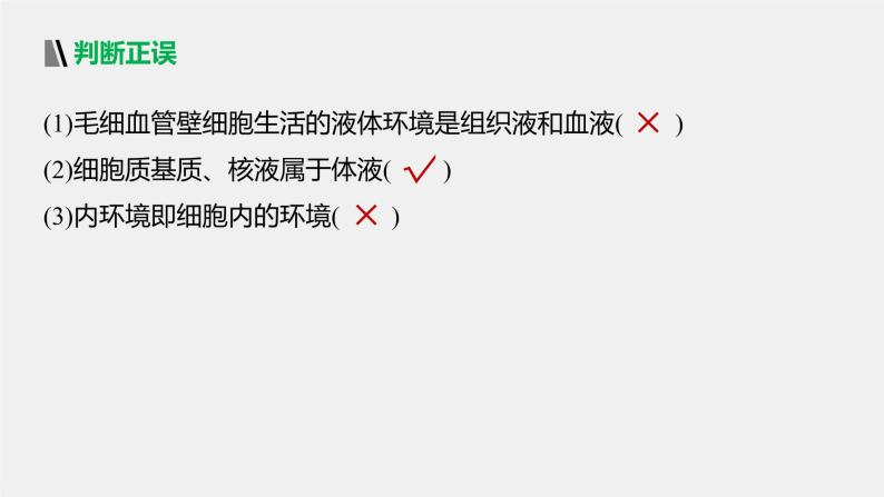 选择性必修1 内环境的稳态（45张） 课件-高中生物新北师大版选择性必修106