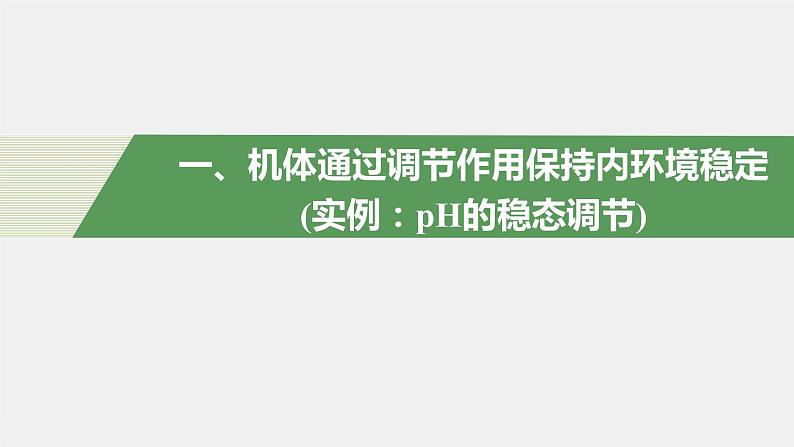 选择性必修1 内环境稳态的调节（31张） 课件-高中生物新北师大版选择性必修104