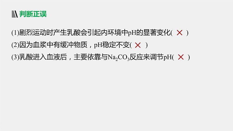 选择性必修1 内环境稳态的调节（31张） 课件-高中生物新北师大版选择性必修106