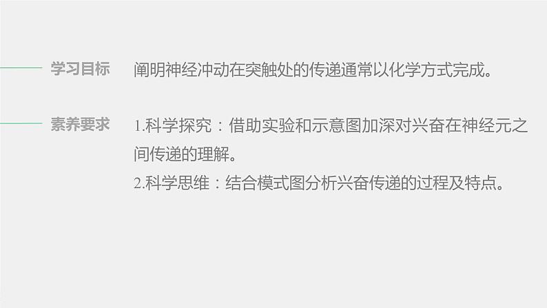 选择性必修1 神经冲动的传递 （26张） 课件-高中生物新北师大版选择性必修102