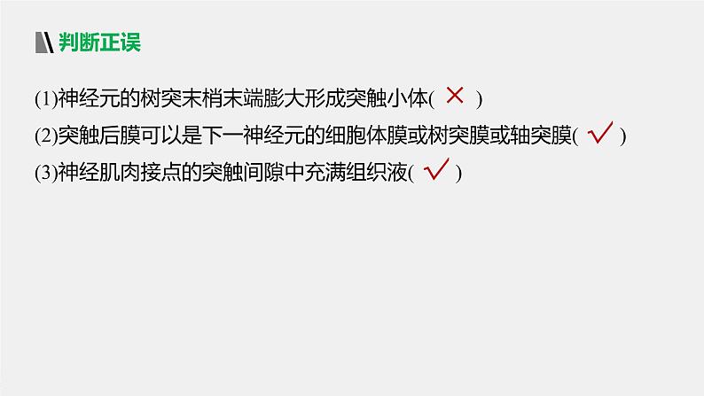 选择性必修1 神经冲动的传递 （26张） 课件-高中生物新北师大版选择性必修107