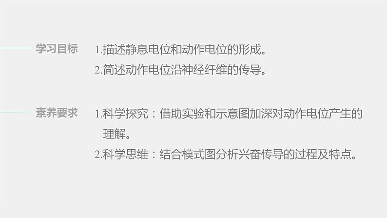 选择性必修1 神经冲动的产生与传导（32张） 课件-高中生物新北师大版选择性必修102