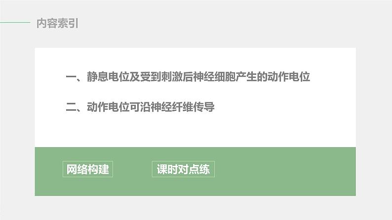 选择性必修1 神经冲动的产生与传导（32张） 课件-高中生物新北师大版选择性必修103