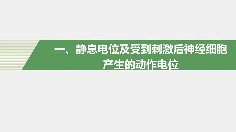 选择性必修1 神经冲动的产生与传导（32张） 课件-高中生物新北师大版选择性必修104