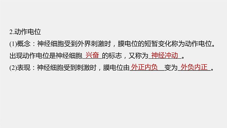 选择性必修1 神经冲动的产生与传导（32张） 课件-高中生物新北师大版选择性必修106