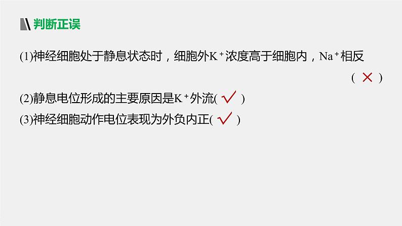 选择性必修1 神经冲动的产生与传导（32张） 课件-高中生物新北师大版选择性必修107