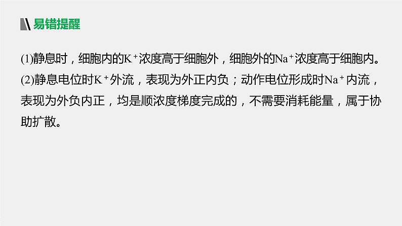 选择性必修1 神经冲动的产生与传导（32张） 课件-高中生物新北师大版选择性必修108