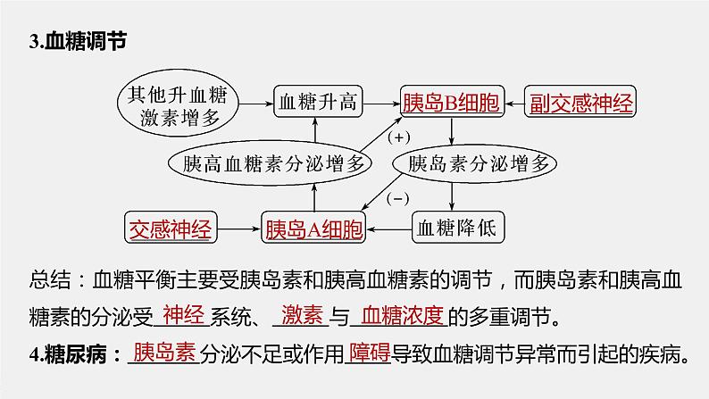 选择性必修1 神经调节与体液调节的协调作用（54张） 课件-高中生物新北师大版选择性必修107