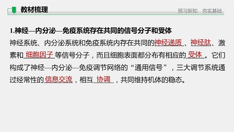 选择性必修1 神经—内分泌—免疫调节网络（20张） 课件-高中生物新北师大版选择性必修105