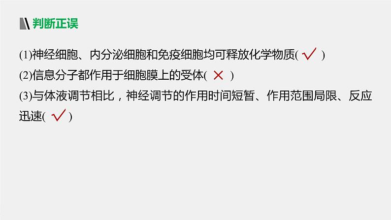 选择性必修1 神经—内分泌—免疫调节网络（20张） 课件-高中生物新北师大版选择性必修108