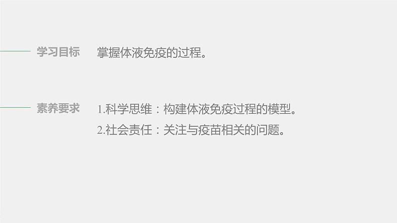 选择性必修1 体液免疫（28张） 课件-高中生物新北师大版选择性必修102