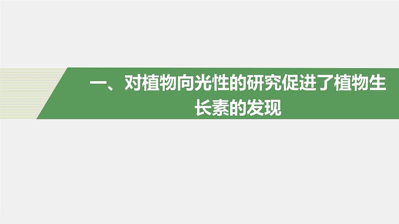 选择性必修1 植物生长素的发现与作用（49张） 课件-高中生物新北师大版选择性必修105