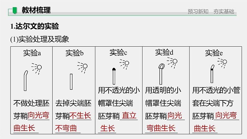 选择性必修1 植物生长素的发现与作用（49张） 课件-高中生物新北师大版选择性必修106