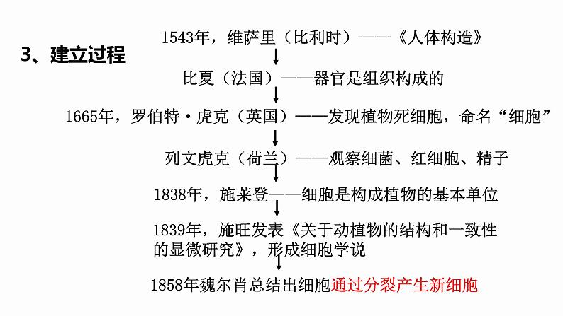 1.1 细胞是生命活动的基本单位 课件 高中生物新人教版必修106