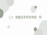 1.2 细胞的多样性和统一性 课件 高中生物新人教版必修1