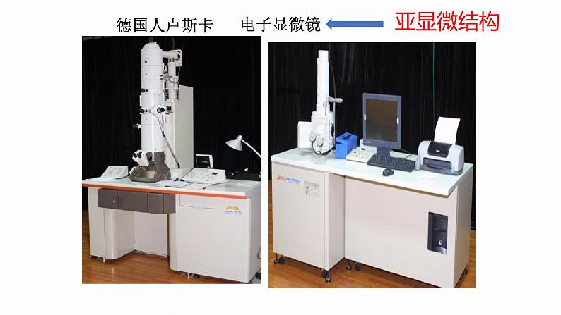 1.2 细胞的多样性和统一性 课件 高中生物新人教版必修1第5页