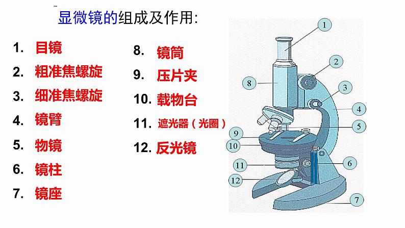 1.2 细胞的多样性和统一性 课件 高中生物新人教版必修1第7页