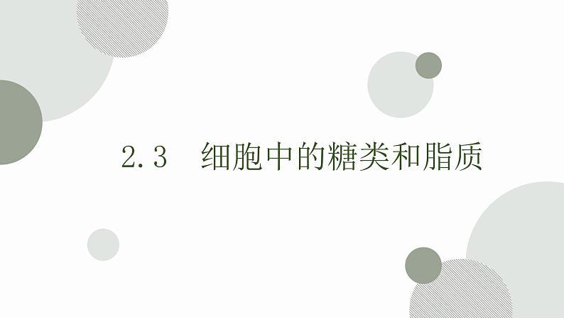 2.3 细胞中的糖类和脂质 课件 高中生物新人教版必修101