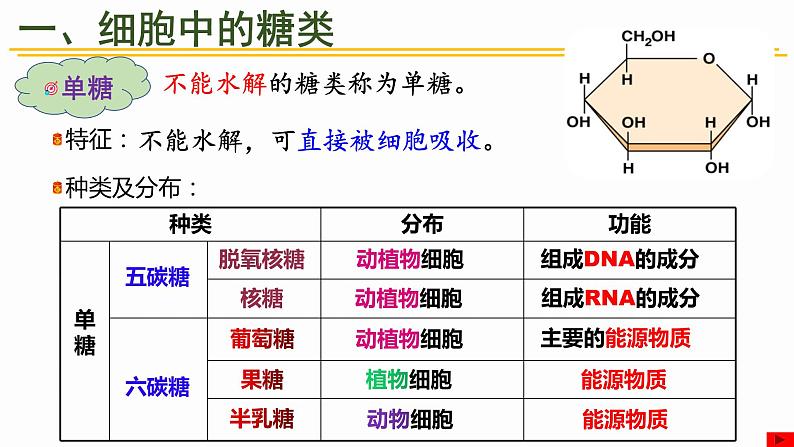 2.3 细胞中的糖类和脂质 课件 高中生物新人教版必修106