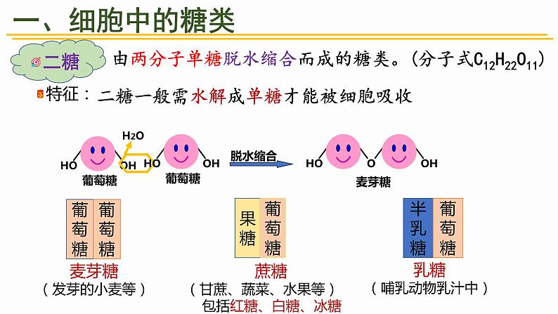 2.3 细胞中的糖类和脂质 课件 高中生物新人教版必修107