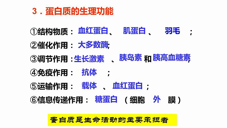 2.4 蛋白质是生命活动的主要承担者 课件 高中生物新人教版必修1第6页