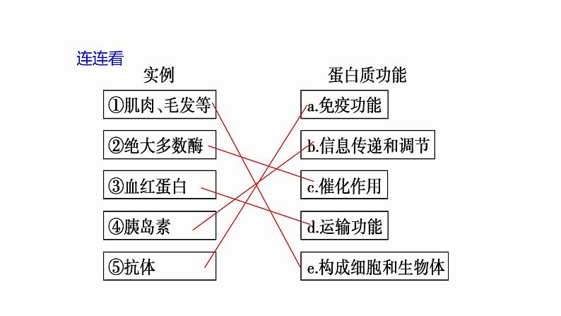 2.4 蛋白质是生命活动的主要承担者 课件 高中生物新人教版必修1第7页