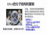 2.5 核酸是遗传信息的携带者 课件 高中生物新人教版必修1