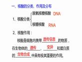 2.5 核酸是遗传信息的携带者 课件 高中生物新人教版必修1