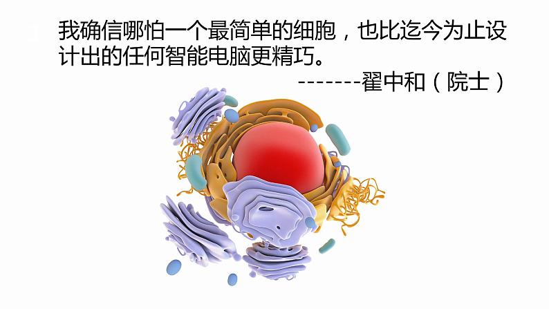 3.1 细胞膜的结构和功能 课件 高中生物新人教版必修1第2页