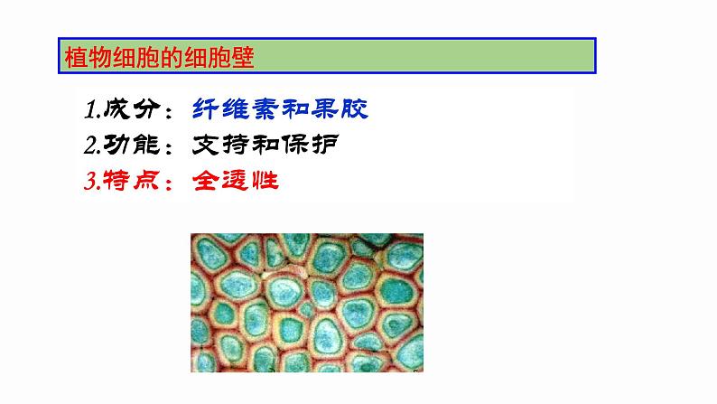 3.1 细胞膜的结构和功能 课件 高中生物新人教版必修1第4页