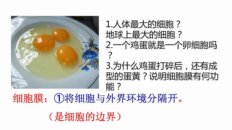 3.1 细胞膜的结构和功能 课件 高中生物新人教版必修1第5页