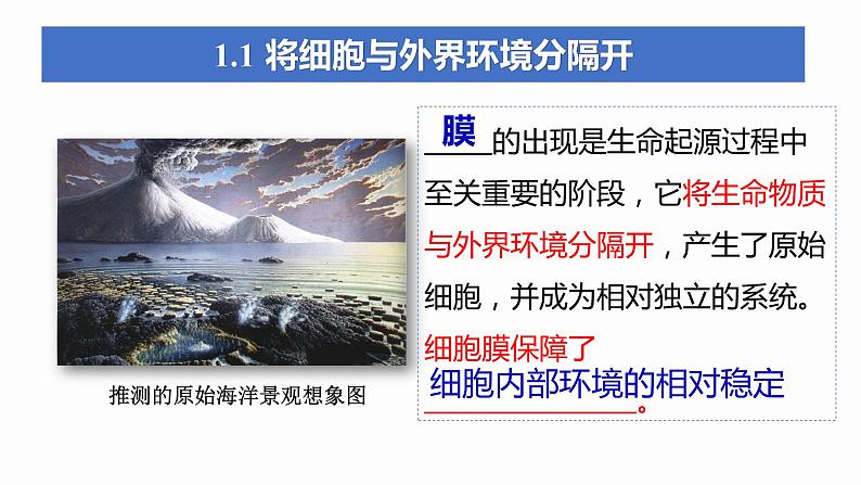 3.1 细胞膜的结构和功能 课件 高中生物新人教版必修1第6页