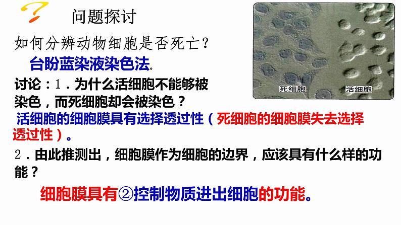 3.1 细胞膜的结构和功能 课件 高中生物新人教版必修1第7页